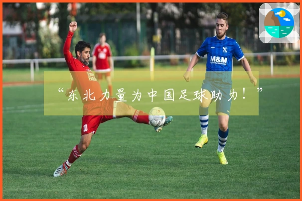 “东北力量为中国足球助力！”