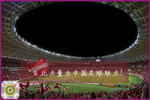 “东北力量为中国足球助力！”