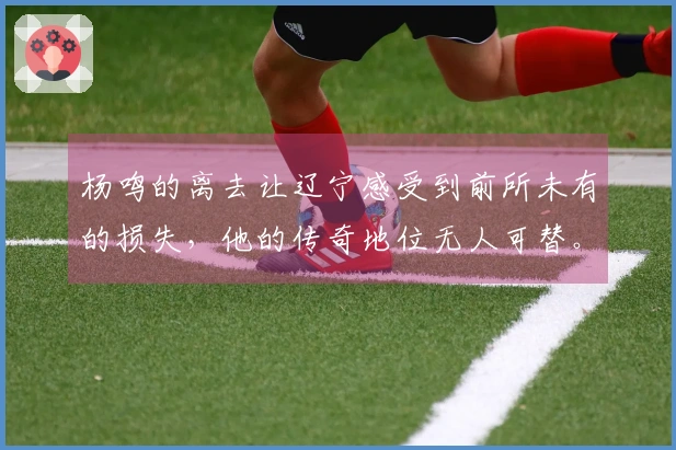 杨鸣的离去让辽宁感受到前所未有的损失，他的传奇地位无人可替。